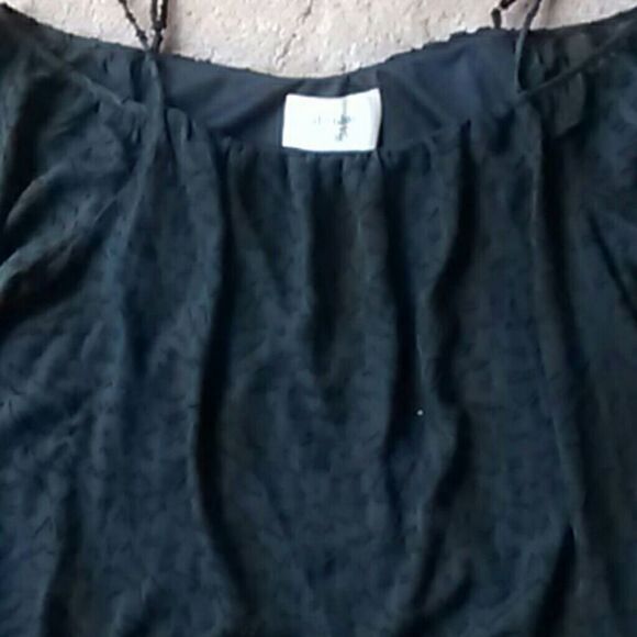 NWT Alice Blue Top . Whimsigoth, Dark Academic - Picture 2 of 8
